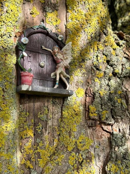 Forest Fairy Elf Knocking Small Wooden Door Tree — Stock Photo, Image