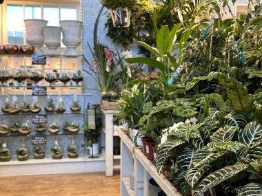 Bahçe merkezindeki raflarda satılık güzel saksılar var.