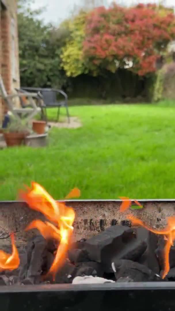 Nahaufnahme Von Flammen Einer Grillgrube Gargen Hintergrund — Stockvideo