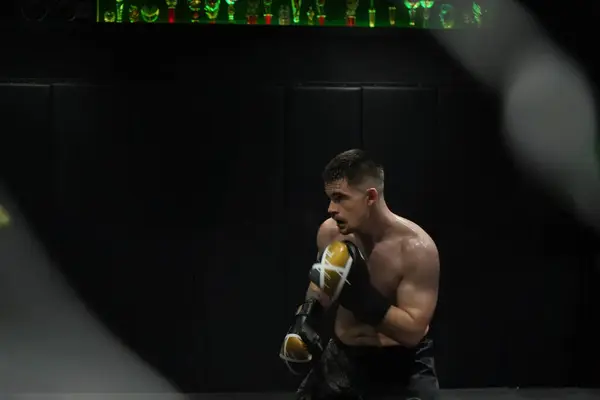 Boxeador Masculino Musculoso Sin Camisa Usando Guantes Boxeo Luchando Gimnasio Imágenes De Stock Sin Royalties Gratis