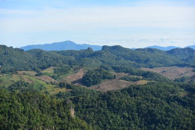 Yeşil ormanlı güzel dağ manzarası