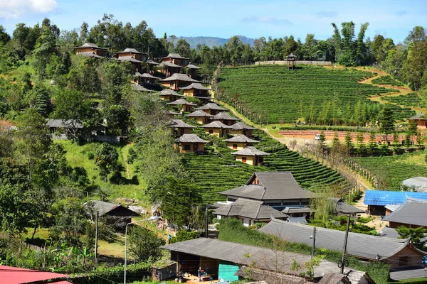 Lee Wine Ruk Thai Tatil Köyü, Ban Rak Thai 'de. Çay tarlasıyla çevrili Çin tarzı evler..