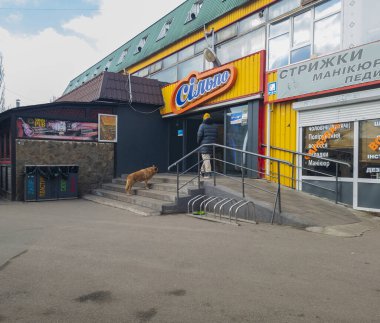 Kyiv, Ukrayna - 1 Nisan 2025: İnsanların neşeli bahar gününün tadını çıkaran meraklı bir köpekle birlikte renkli bir ürün dükkanını ziyaret etmeleri, günlük yaşamın canlı atmosferini gösteriyor.