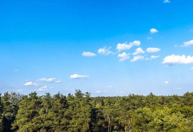 Yeşil bir ormanın havadan görünüşü küçük beyaz bulutlu parlak mavi bir gökyüzüne dokunuyor, barışçıl ve sakin bir atmosfer yaratıyor, doğa ve çevreyle ilgili projeler için ideal.