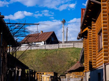 Beyaz leylek elektrik direğine yuva yapıyor. Batı Ukrayna 'daki kırsal evlerin üzerinde yükseliyor. Mavi gökyüzü ve beyaz bulutlar arka planda huzurlu kırsal yaşam sergiliyor.