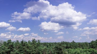 Güzel bir yaz manzarası, mavi gökyüzünün altında yeşil bir orman, bir sürü beyaz kümülüs bulutu, barışçıl ve huzurlu bir atmosfer yaratıyor.
