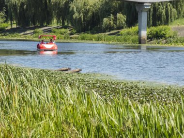 Dnipro Nehri boyunca süzülen kırmızı katamaran, yemyeşil çimenler ve arka planda çarpıcı bir köprü ile çerçevelenmiş, güneşli bir yaz gününde çarpıcı bir manzara yaratır.