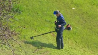 Kyiv, Ukraine - 11th April , 2025: Two professional arborists in a crane basket cutting down tree branches with a pruning saw while urban traffic moves along the road, demonstrating city maintenance and landscaping services