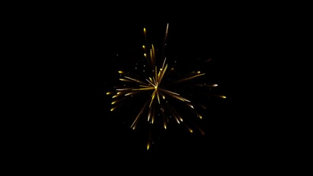 Feuerwerk Nachthimmel Feiertagskonzept — Stockvideo
