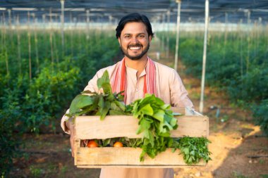 Happy smiling young farmer carrying basket of vegetables for market at green house - concept of successful business, confident and professional.