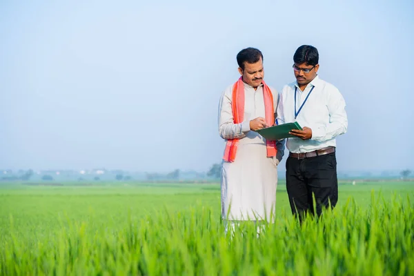Banker Officer Checking Loan Documents Village Farmer Green Paddy Field — Stock Photo, Image