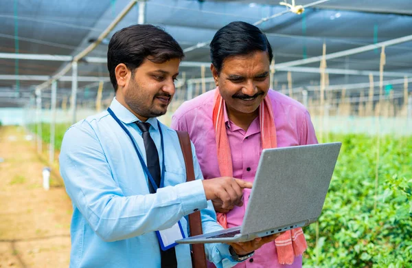 Indian agro expert or banking officer showing increase plant growth or returns on investment on laptop at greenhouse - concept of expertise, assistance and financial support.