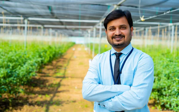 Confident Indian Banker Officer Standing Crossed Arms Looking Camera Greenhouse — Stock Photo, Image