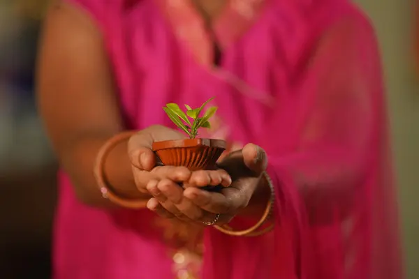 stock image close up shot of Indian young girl kid showing diya with plant by looking camera during diwali celebration - concept of environmental protection, save plants and stop festive pollution.