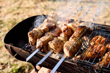 Şişte domuz kebabı ve ızgara tavuk. Doğadan ızgara et.