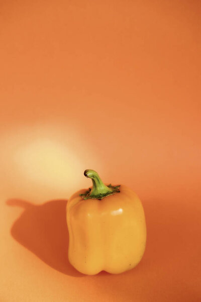 yellow bell pepper isolated on orange background. empty space for text