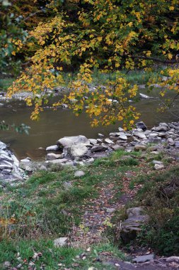 Yaremche şehrindeki Karpatlar 'daki Prut Nehri manzarası. Sonbaharda doğanın manzaralı güzelliği