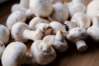 Beyaz şampiyonlar tahta bir tahtaya yakın çekim yapıyor. Porcini mantarı yakın plan.