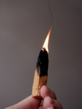 Palo Santo 'nun yanan kütüğü insan elinde yakın plan. Bir kadının eli palo santo tutar. Yanan Palo Santo çubuğu. maneviyat ve ezoteriklik
