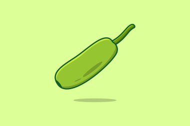 Yeşil Şişe Kabağı Sebze Vektör Çizimi. Gıda ikonu konsepti. Bahçe taze sebze şişesi kabak ikonu tasarımı.