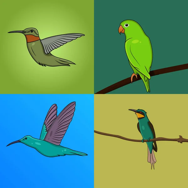Set Von Flying Birds Vektor Illustration Kolibris Und Grüner Papagei — Stockvektor