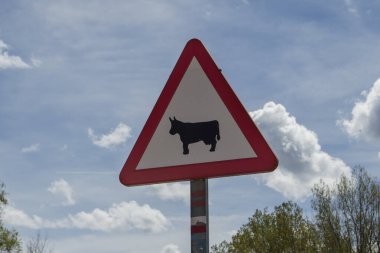 Burgos vilayetindeki sığır geçidi sinyali. İspanya