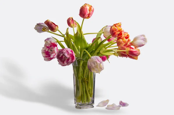 Натюрморт Скляною Вазою Натуральними Тюльпанами — стокове фото
