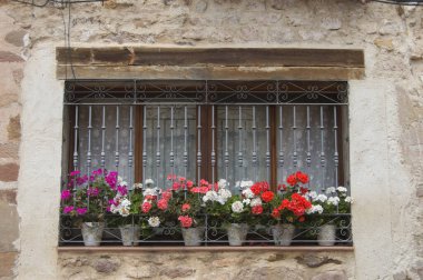 farklı renklerdeki sardunyalarla süslenmiş çubuklu pencere