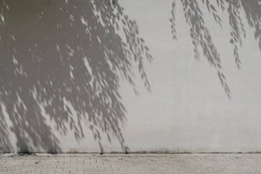 Ağaç dallarının gölgesi ve yaprakları bir duvarda ve kaldırımda