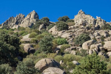 Madrid 'in Sierra de la Cabrera bölgesindeki kayalar, taşlar ve yeşil bitki örtüsüyle manzara. İspanya