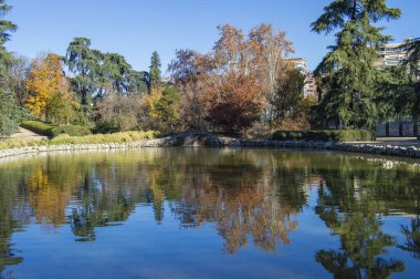 Madrid 'deki Fuente del Berro parkındaki bir gölete yansıyan ağaçlar. İspanya