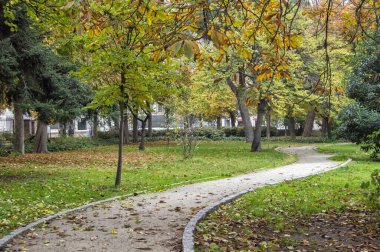 Madrid 'deki Retiro Park' ta ağaçlarla ve yapraklarla çevrili bir patika. İspanya