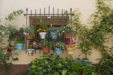 Metal ızgaralı pencere Çiçekli saksılar ve bitkiler