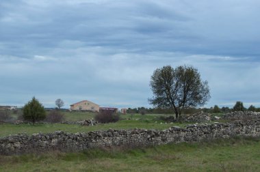 Bir ağaç ve bir çitle çevrili bir çayırda evi olan kış manzarası.