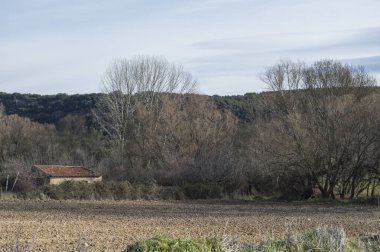 Yapraksız ağaçlarla kaplı kış manzarası ve Segovia 'da taştan bir ev. İspanya