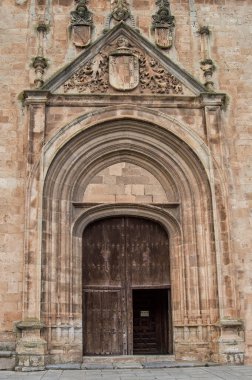 Soria eyaletinin Berlanga de Duero eyaletindeki Santa Mara del Mercado kolej kilisesinin Gotik girişi. İspanya