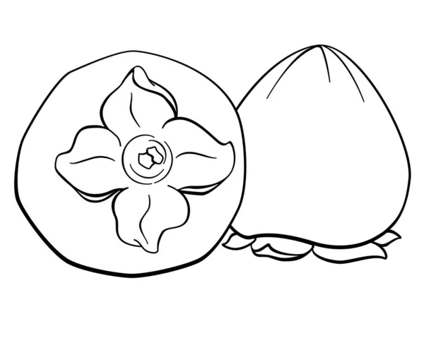 Persimmon Zwei Saftige Süße Früchte Vektorlineares Bild Für Logo Piktogramm — Stockvektor