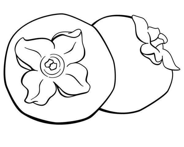 Hurma Kesme Işlemeli Iki Tart Sonbahar Meyvesi Boyama Kitabı Logo — Stok Vektör