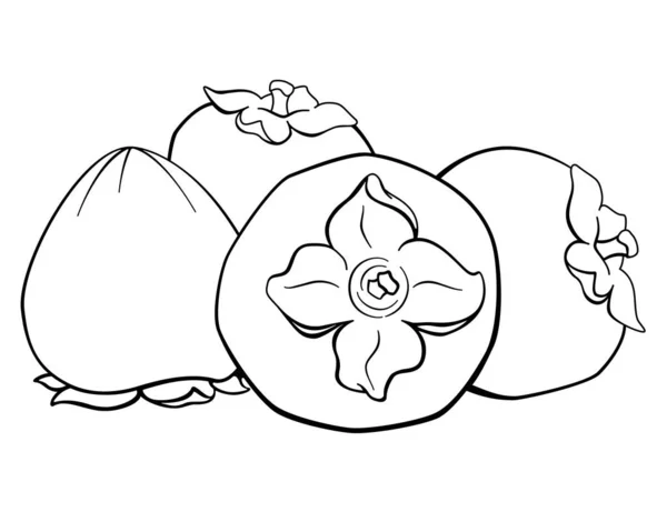 Persimmon Süße Herbstfrüchte Vektorlineares Bild Zum Färben Persimmon Früchte Für — Stockvektor