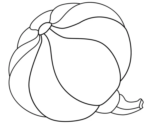 Zucca Frutta Autunnale Immagine Lineare Vettoriale Libro Colorare Logo Pittogramma — Vettoriale Stock