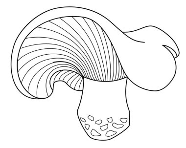 Lactarius resimus, forest edible mushroom - vector linear picture for coloring book, sign or logo. Outline. Mushroom with fancy hat for coloring book or pictogram