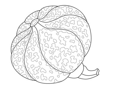  Pumpkin spotted motley - vector linear picture for coloring. Outline. Pumpkin fruit with picturesque spots for a coloring book.