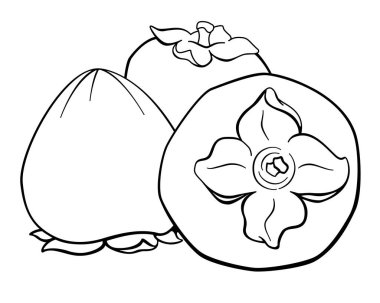 Persimmon, fruits with stalk - vector line art picture with vegetable food for coloring, logo or pictogram. Outline. The fruit of the persimmon tree is a healthy wholesome food.