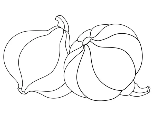 Две Тыквы Обрезками Векторная Линейная Картинка Окраски Набросок Тыквы Овощи — стоковый вектор