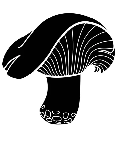 Lactarius Resimus Orman Yenilebilir Mantar Işaret Veya Logo Için Vektör — Stok Vektör