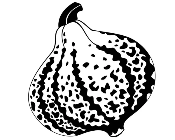 Légume Citrouille Avec Boutures Image Vectorielle Silhouette Pour Logo Pictogramme — Image vectorielle