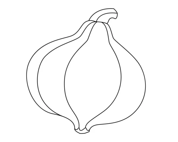 Citrouille Est Légume Utile Avec Des Boutures Une Image Vectorielle — Image vectorielle