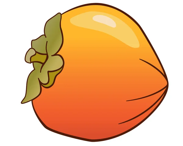 Persimmon Fruit Orange Vif Image Vectorielle Couleur Avec Nourriture Végétale — Image vectorielle
