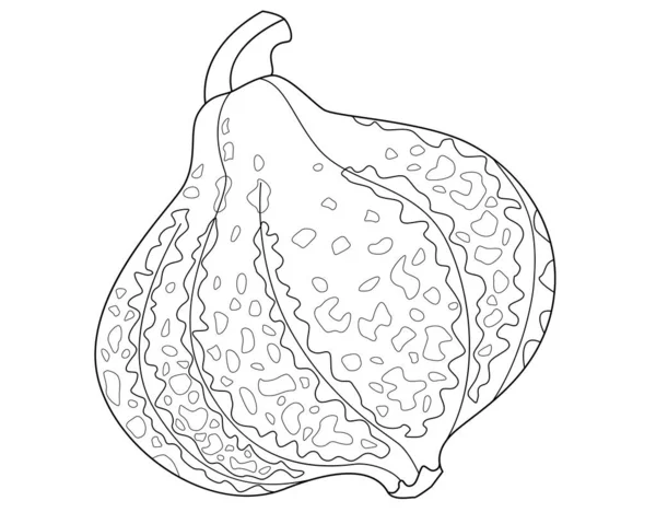 Citrouille Tachetée Avec Une Tige Une Image Vectorielle Linéaire Pour — Image vectorielle