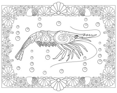 Karides ve kabuk çerçeveli boyama kitabı antistresi boyama - boyama için vektör doğrusal resim. Özet geç. Deniz eklembacaklısıyla boyama sayfası.